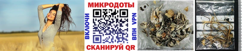 Псилоцибиновые грибы ЛСД  Енисейск 
